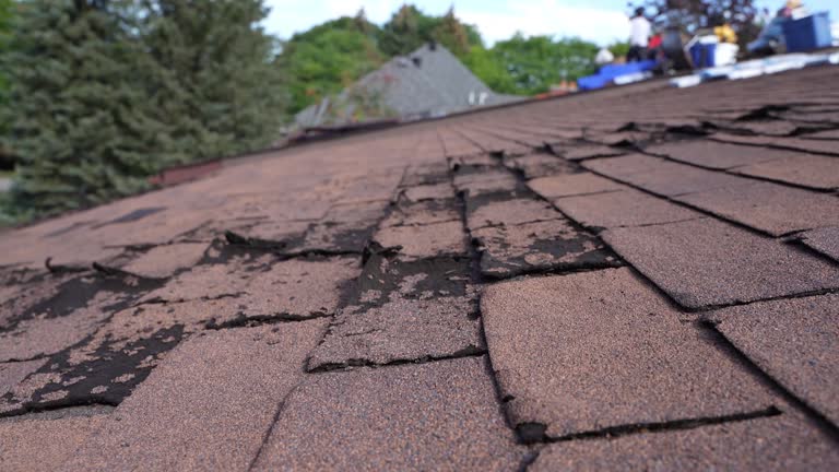Best Roof Moss and Algae Removal  in Gap, PA